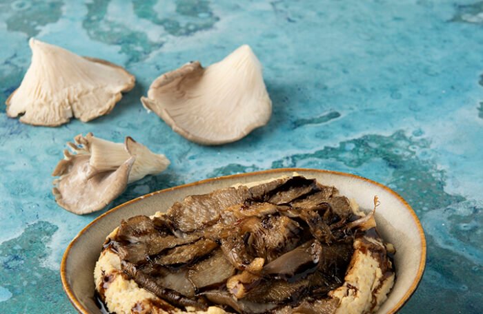 V045 Humus(İstridye Mantarlı)